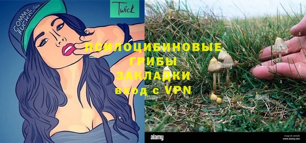 прущая мука Богородск