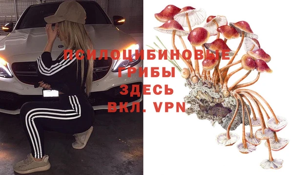 кристаллы Богданович