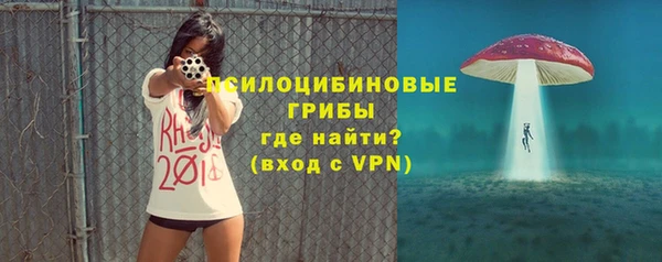 синтетический гашиш Богородицк