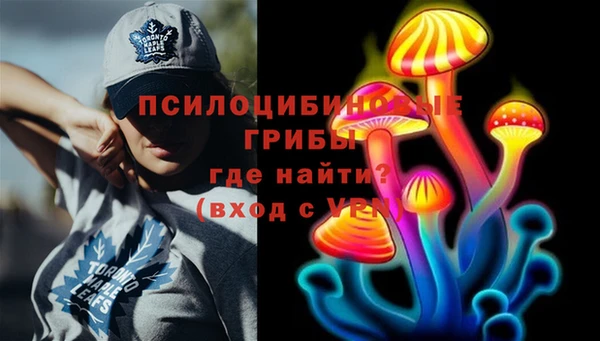 прущая мука Богородск