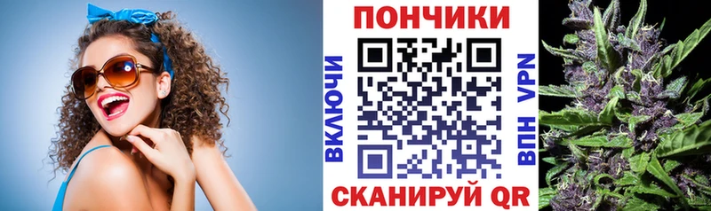 darknet наркотические препараты  Шелехов  Каннабис OG Kush  где найти наркотики 